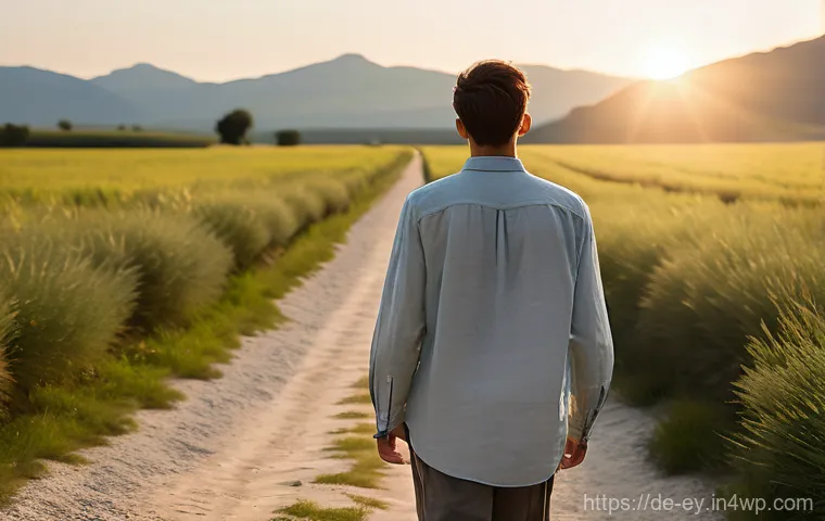 용서 심리학의 이론적 기초와 실제 - **Prompt:** A person, seen from behind, walking on a path in a serene, sun-drenched landscape. They ...
